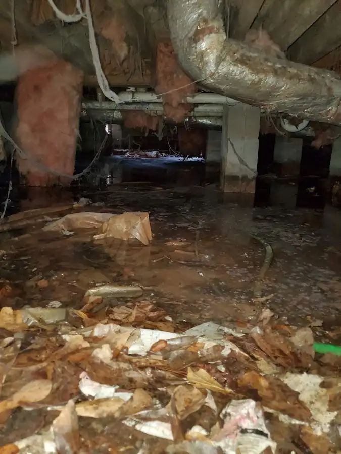 Crawl space flood assessment for Commercial Water Damage Restoration in Houghton