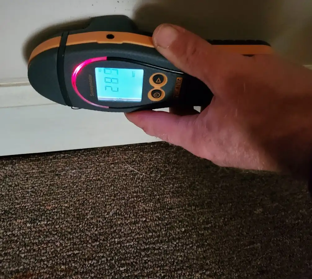 Moisture detection at baseboard during Mold Inspection & Testing in Houghton